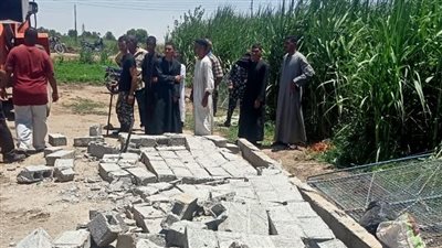 إزالة 3 حالات تعد على الأراضي الزراعية بالأقصر| صور 