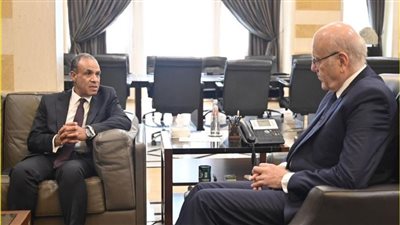 وزير الخارجية يؤكد لرئيس وزراء لبنان دعم مصر الكامل