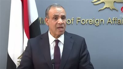 وزير الخارجية: مكافحة الإرهاب من القضايا المهمة التي تجمع مصر بروسيا