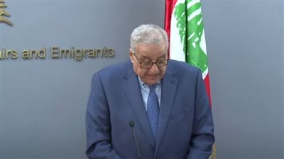 وزير خارجية لبنان: مصر فتحت أبوابها للبنانيين في الميادين كافة