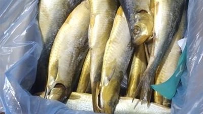 ضبط 10 أطنان دواجن ورنجة ولحوم غير صالحة للاستهلاك بالغربية