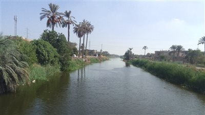 الجيزة توضح أسباب وجود بقع زيتية بمجري مائي لترعة المريوطية