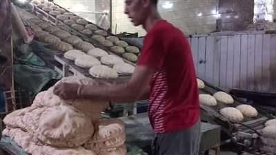  محافظ الدقهلية يتفقد المخابز البلدية وسوق الخضراوات والفاكهة بالمنصورة