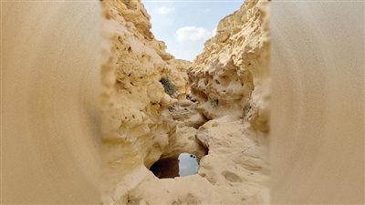 اﻟﻤﺤﻤﻴﺎت ﺗﺤﻜﻰ أﺳﺮارﻫﺎ