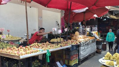 الطماطم والبطاطس تثير ذعر المواطنين بالإسكندرية.. ما القصة؟