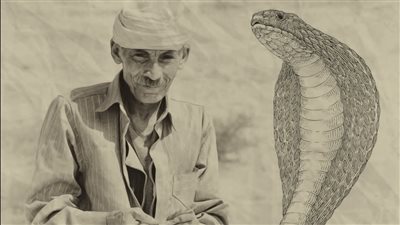 الأربعاء.. القومي للسينما يحتفل بعيد العلم بفعاليات مشتركة مع مكتبة مصر العامة بالدقي