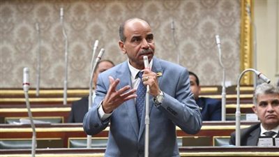 برلماني: القاهرة الجديدة أصبحت واحدة من أهم المدن الحضارية والخضراء