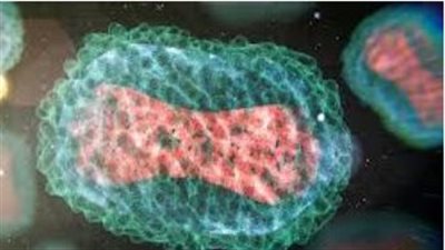 أضرار فشل السائل الدماغي الشوكي في أداء وظيفته