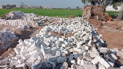 إزالة 37 حالة تعد على الأراضي الزراعية بالبحيرة 