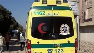 خلافات مالية.. أب يطعن ابنه بسكين في قنا 