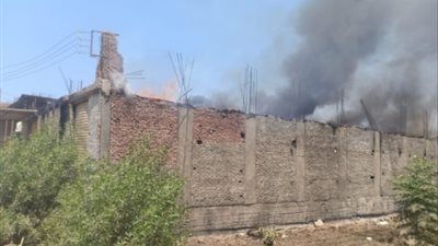 إصابة سيدة باختناق والدفع بـ13 سيارة إطفاء للسيطرة على حريق بمزرعة نخيل بالوادي الجديد