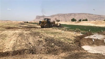 حملة لإزالة التعديات على الأراضى الزراعية وأملاك الدولة بقرى دشنا