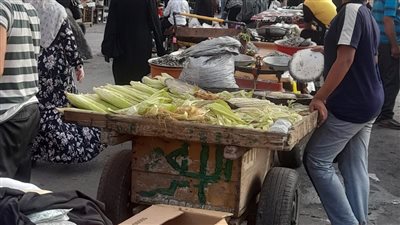 الباعة الجائلون.. صداع فى رأس محافظة الغربية 