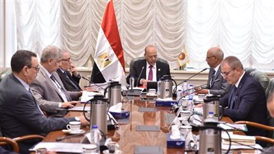 وزير العمل يترأس اجتماع صندوق تمويل التدريب.. ويؤكد: هدفنا تأهيل الشباب 