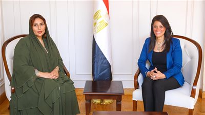 المشاط: حريصون على تهيئة البيئة المناسبة لتوسيع نطاق الاستثمارات الإماراتية 