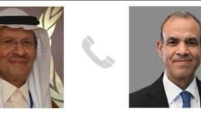 وزير الخارجية يبحث مع نظيره السعودي مشروعات الربط الكهربائي بين البلدين