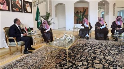 وزير الخارجية ونظيره السعودي يدعوان لحشد الدعم الدولي للقضية الفلسطينية