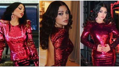 هيفاء وهبي تحسم الجدل وتعلن عن حفلها في مصر 