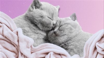 كيف يؤثر العناق قبل النوم على جودته 