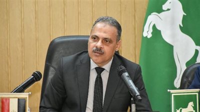 تراكمات القمامة ونظافة الشوارع والإشغالات أهم مشكلات أهالي الشرقية