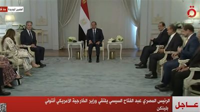 الرئيس السيسي يلتقي وزير الخارجية الأمريكي