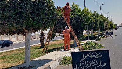 محافظ الإسماعيلية يتابع مجهودات جهاز التطوير والتجميل في تهذيب المسطحات الخضراء