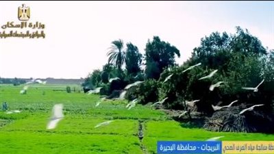 وزير الإسكان يتابع موقف تنفيذ مشروعات مياه الشرب والصرف الصحى بالبحيرة