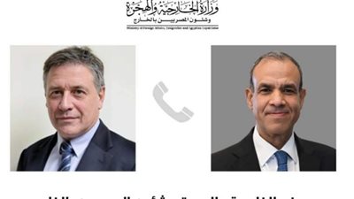 وزير الخارجية  يبرز جهود مصر في جذب الاستثمارات الأجنبية المباشرة