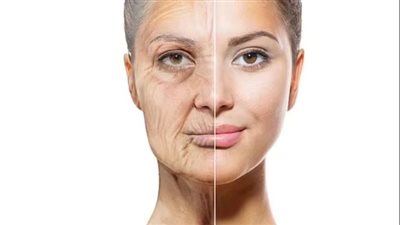 اكتشاف علمي جديد يعكس تأثيرات الشيخوخة