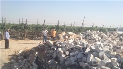 إزالة 48 حالة تعد علي الأراضي الزراعية بالبحيرة