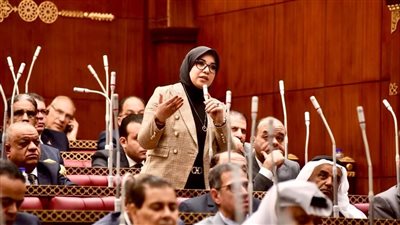 النائبة دينا هلالي: رفع توصيات الحبس الاحتياطي للحكومة خطوة تاريخية تعزز المسار الحقوقي 