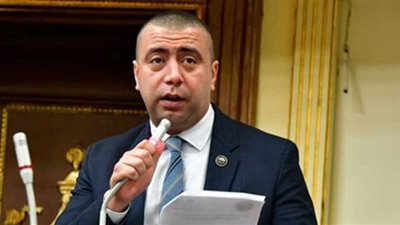 برلماني: الاستجابة الفورية للرئيس لتوصيات الحبس الاحتياطي تدعم العدالة الناجزة