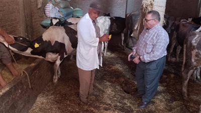  محافظ الدقهلية يتابع الحملة القومية لتحصين الماشية ضد الحمى القلاعية 