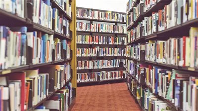 مفكرون يناشدون «الرئيس» النظر فى القرار وإعادة الاعتبار لها