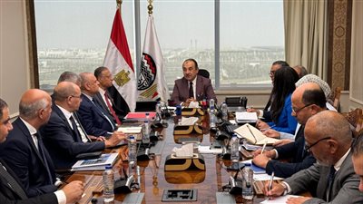 وزير قطاع الأعمال يتابع تنفيذ استراتيجية 