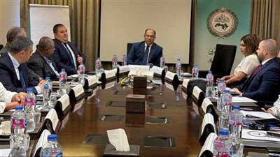 متحدث الخارجية: الدبلوماسية البرلمانية العربية أداة مهمة لطرح رؤى الشعوب والدفاع عن قضايا أمتنا