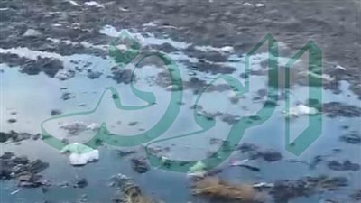 أزمة الصرف الصحي تهدد تل عميرة والأهالي يناشدون المحافظ بتشكيل لجنة لحل الأزمة