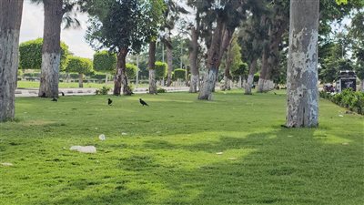 طقس الإسماعيلية.. شديد الحرارة نهارًا معتدل ليلًا 