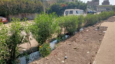 تنفيذ أعمال المبادرة الرئاسية 