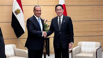 وزير الخارجية يحث الشركات اليابانية على الاستفادة من استراتيجية الهيدروجين الأخضر المصرية