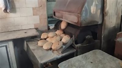 تحرير 1072 مخالفة للمخابز والأسواق بالقليوبية