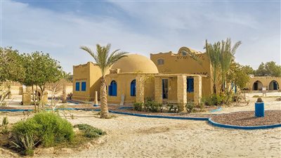  الفيوم: توثيق متحف الكاريكاتير بقرية تونس بسجلات المباني ذات الطراز المعماري المتميز 