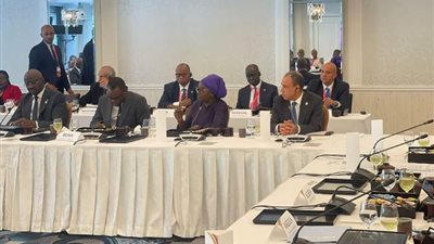 وزير الخارجية يكشف دور 