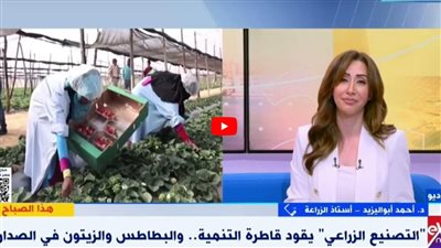 أستاذ زراعة: تصدير الموالح المصرية يشهد طفرة (فيديو)