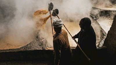 صناعة العسل الأسود بالمنيا مصدر رزق للأجيال