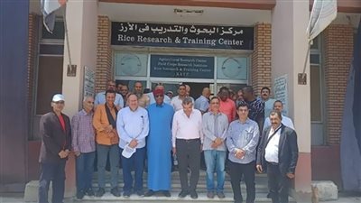 البحوث الزراعية ينظم يوم الحقل السنوي لمحصول الذرة الشامية والأرز بمحطة كفر الشيخ
