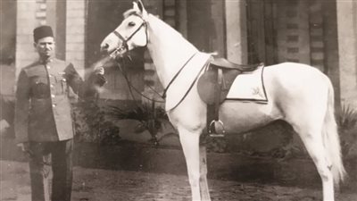 «كادر» بمتاحف الآثار 