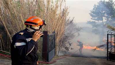 ملحقوش يطلعوا المواشي.. تفاصيل حريق حظيرة في الغربية