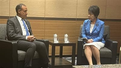 وزير الخارجية: لا بد من بذل كل المساعي لمنع التصعيد في المنطقة والانزلاق نحو حرب إقليمية