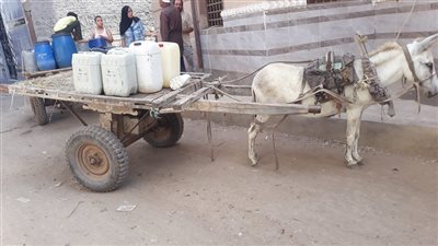 موت بالبطئ.. 60 يومًا واليوسيفية بلا مياه 